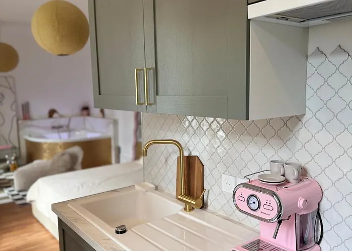 Mini Loft - Cosy 公寓 第戎